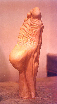 anatomy foot